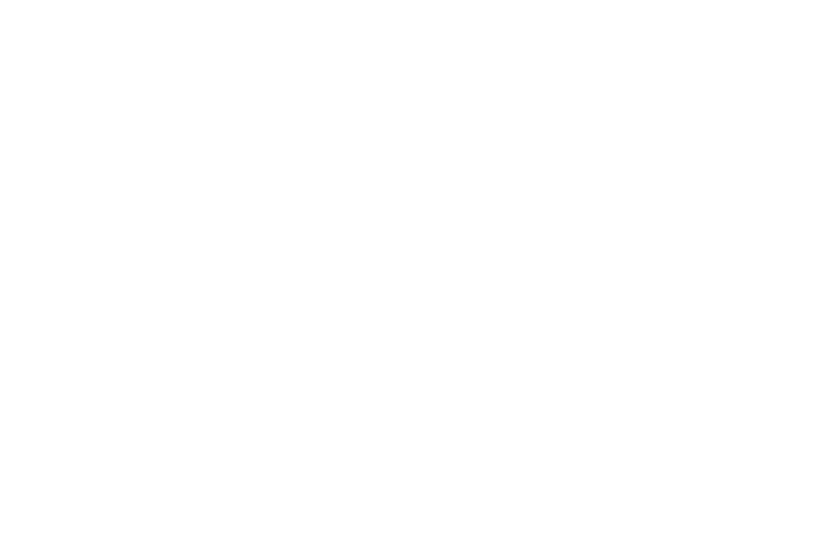 The Hilton Hotel
